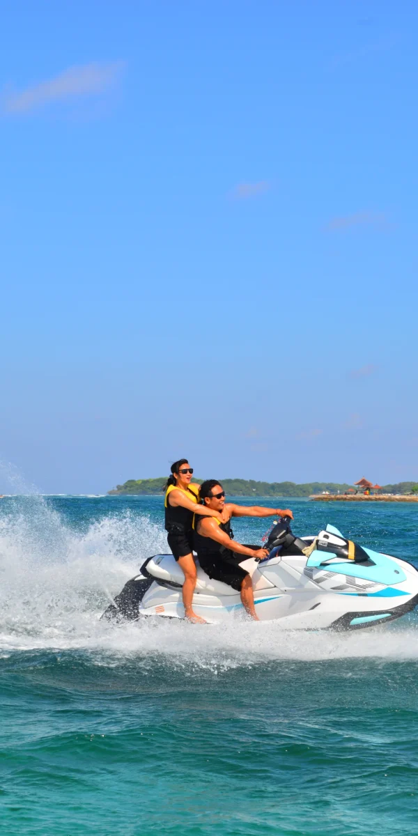 Jet Ski VX 1300