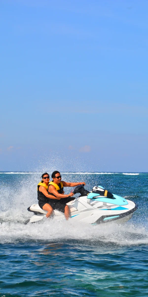 Jet Ski VX 1300
