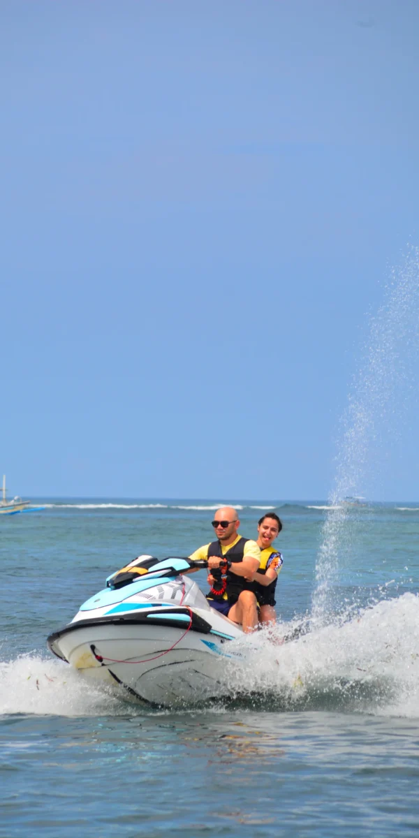 Jet Ski VX 1300